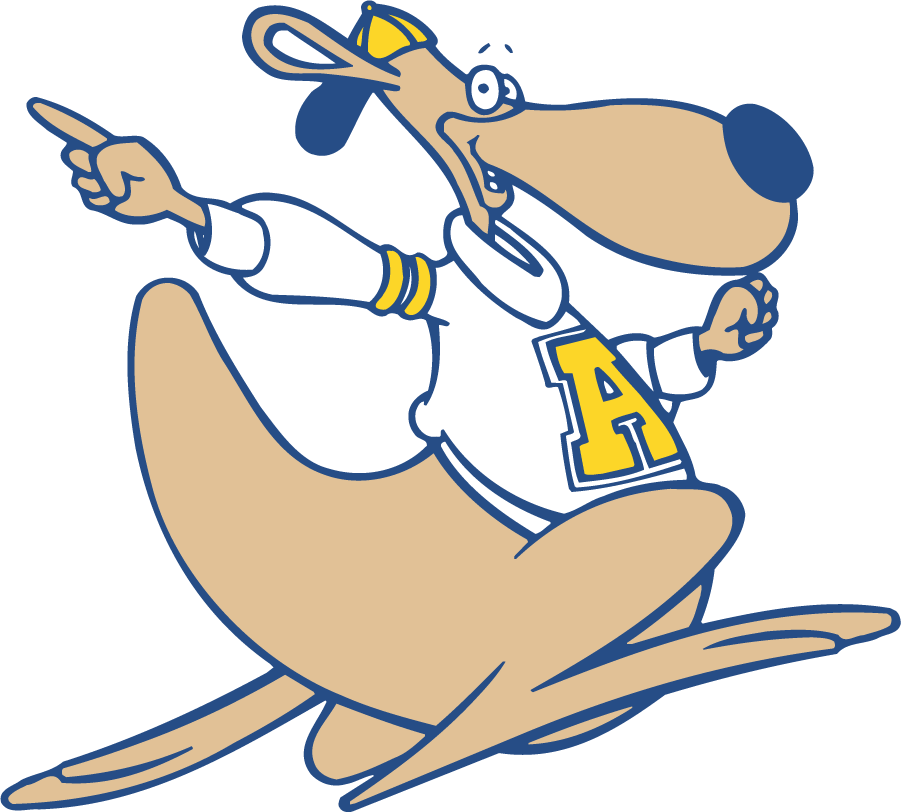 Akron Zips 1995-2002 Mascot Logo diy DTF decal sticker